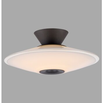 ELIPSA Plafonnier Luminaires Paul Neuhaus LED Noir, 1 lumière
