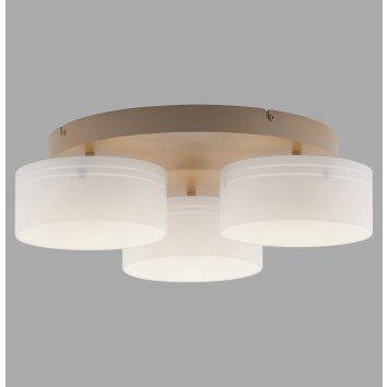 MARIKA Plafonnier Luminaires Paul Neuhaus LED Sable, 3 lumières
