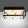 SKINA Plafonnier Luminaires Paul Neuhaus LED Noir, 1 lumière, Télécommandes