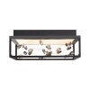 SKINA Plafonnier Luminaires Paul Neuhaus LED Noir, 1 lumière, Télécommandes