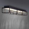SKINA Plafonnier Luminaires Paul Neuhaus LED Noir, 1 lumière, Télécommandes