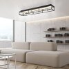 SKINA Plafonnier Luminaires Paul Neuhaus LED Noir, 1 lumière, Télécommandes