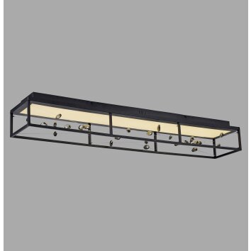 SKINA Plafonnier Luminaires Paul Neuhaus LED Noir, 1 lumière, Télécommandes