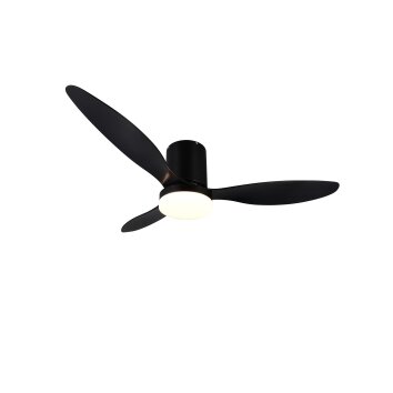 mit Ventilateur de plafond lumineux Luminaires Reality LED Noir, 1 lumière, Télécommandes