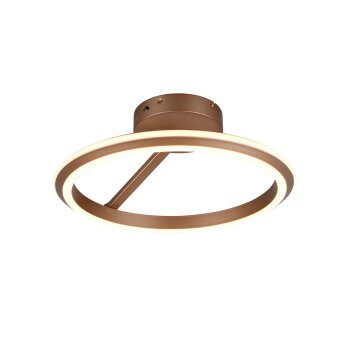 Amador Plafonnier Luminaires Trio LED Brun, 1 lumière