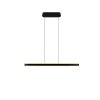Arcola Suspension Luminaires Trio LED Noir, 1 lumière