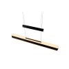 Arcola Suspension Luminaires Trio LED Noir, 1 lumière