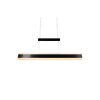 Arcola Suspension Luminaires Trio LED Noir, 1 lumière