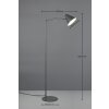 Cosima Lampadaire Luminaires Trio Anthracite, 1 lumière