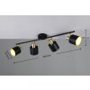 Eva Spot de plafond Luminaires Trio Noir doré, 4 lumières