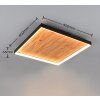 Kalea Plafonnier Luminaires Trio LED Bois clair, 1 lumière