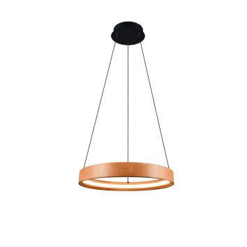 Lynwood Suspension Luminaires Trio LED Bois clair, 1 lumière