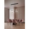 Melita Suspension Luminaires Trio LED Noir doré, 1 lumière