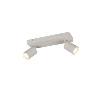 Soka Spot de plafond Luminaires Trio Gris, 2 lumières