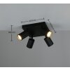 Soka Spot de plafond Luminaires Trio Noir, 4 lumières