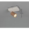 Soka Spot de plafond Luminaires Trio Brun, 1 lumière