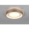 Solea Plafonnier Luminaires Trio LED Brun, 1 lumière