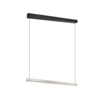 Wallace Suspension Luminaires Trio LED Nickel mat, 1 lumière