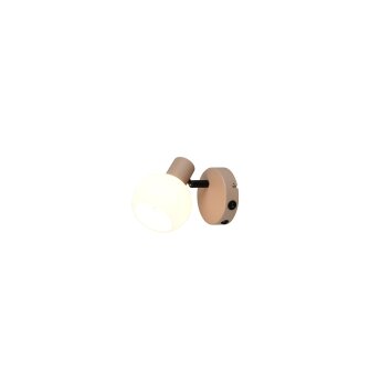 Boba Spot de plafond Luminaires Reality Beige, 1 lumière