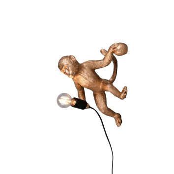 Louy Applique murale Luminaires Reality Or, 1 lumière