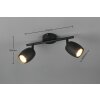 Nancy Spot de plafond Luminaires Reality Noir, 2 lumières