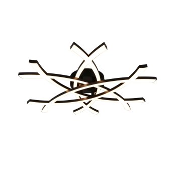 Pollock Plafonnier Luminaires Reality LED Noir, 1 lumière