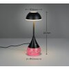 Tembo Lampe à poser Luminaires Reality LED Noir, 1 lumière, Changeur de couleurs