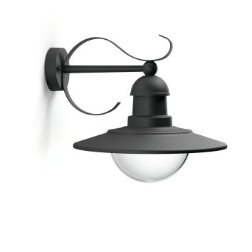 Topiary Applique murale Luminaires Philips Noir, 1 lumière