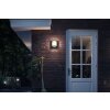 Samondra Lampe murale d´extérieur Luminaires Philips LED Anthracite, 1 lumière