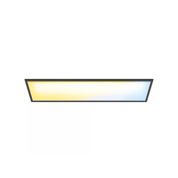 WiZ Panel Luminaires Philips LED Noir, 1 lumière