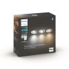 Adore Plafonnier Luminaires Philips Argenté, 1 lumière