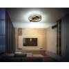 Deloris Plafonnier Luminaires Globo Lighting LED Brun foncé, Noir, 1 lumière, Télécommandes