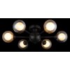 Roland Plafonnier Luminaires Globo Lighting Noir, 6 lumières