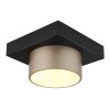 Raymond Plafonnier Luminaires Globo Lighting LED Anthracite, Noir, 1 lumière