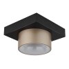 Raymond Plafonnier Luminaires Globo Lighting LED Anthracite, Noir, 1 lumière