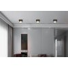 Raymond Plafonnier Luminaires Globo Lighting LED Anthracite, Noir, 1 lumière