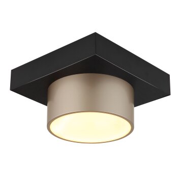 Raymond Plafonnier Luminaires Globo Lighting LED Anthracite, Noir, 1 lumière
