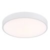 Nielsen Plafonnier Luminaires Globo Lighting LED Blanc, 1 lumière