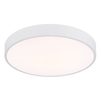 Nielsen Plafonnier Luminaires Globo Lighting LED Blanc, 1 lumière