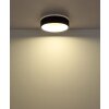 Kemp Plafonnier Luminaires Globo Lighting LED Blanc, 1 lumière