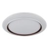 Janice Plafonnier Luminaires Globo Lighting LED Blanc, 1 lumière, Télécommandes, Changeur de couleurs