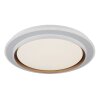 Janice Plafonnier Luminaires Globo Lighting LED Blanc, 1 lumière, Télécommandes, Changeur de couleurs