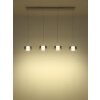 Belinda Suspension Luminaires Globo Lighting LED Blanc, 1 lumière