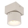 Rae Plafonnier Luminaires Globo Lighting LED Sable, 1 lumière