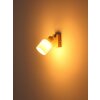 Trent Luminaires Globo Lighting Chrome, Sable, 1 lumière