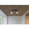 Jack Plafonnier Luminaires Globo Lighting Noir, 2 lumières