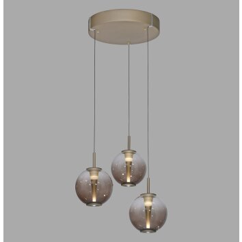 E-Infinity Suspension Luminaires Paul Neuhaus LED Bronze, 3 lumières, Télécommandes