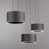 Clipse Suspension Luminaires Paul Neuhaus LED Gris, 6 lumières, Télécommandes