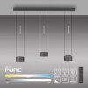 Clipse Suspension Luminaires Paul Neuhaus LED Gris, 6 lumières, Télécommandes