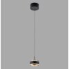 Rings Suspension Luminaires Paul Neuhaus LED Noir, Transparent, 1 lumière, Télécommandes